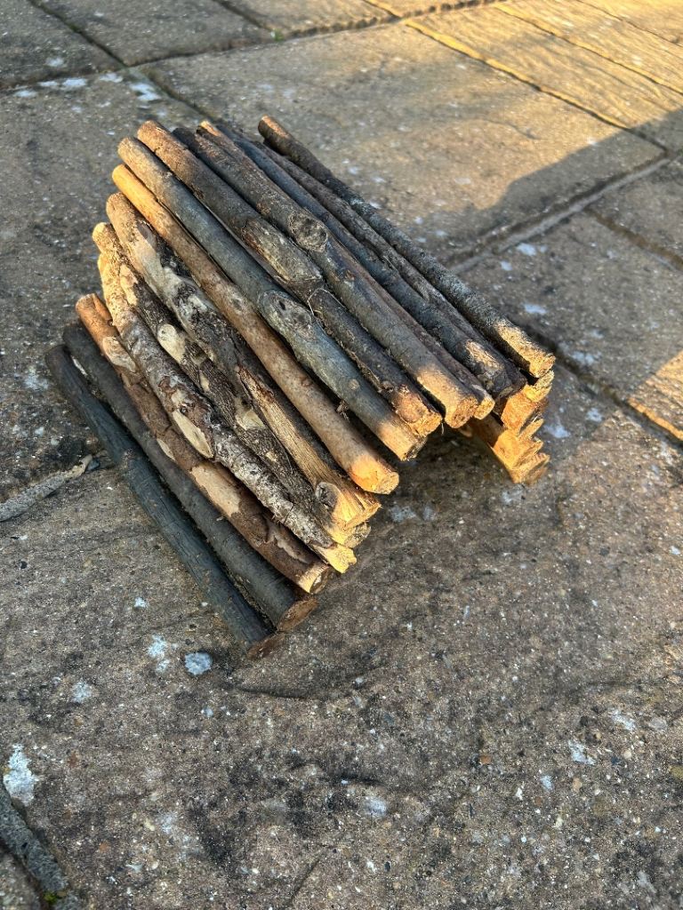 Natural Wood Log Habitat / Decor