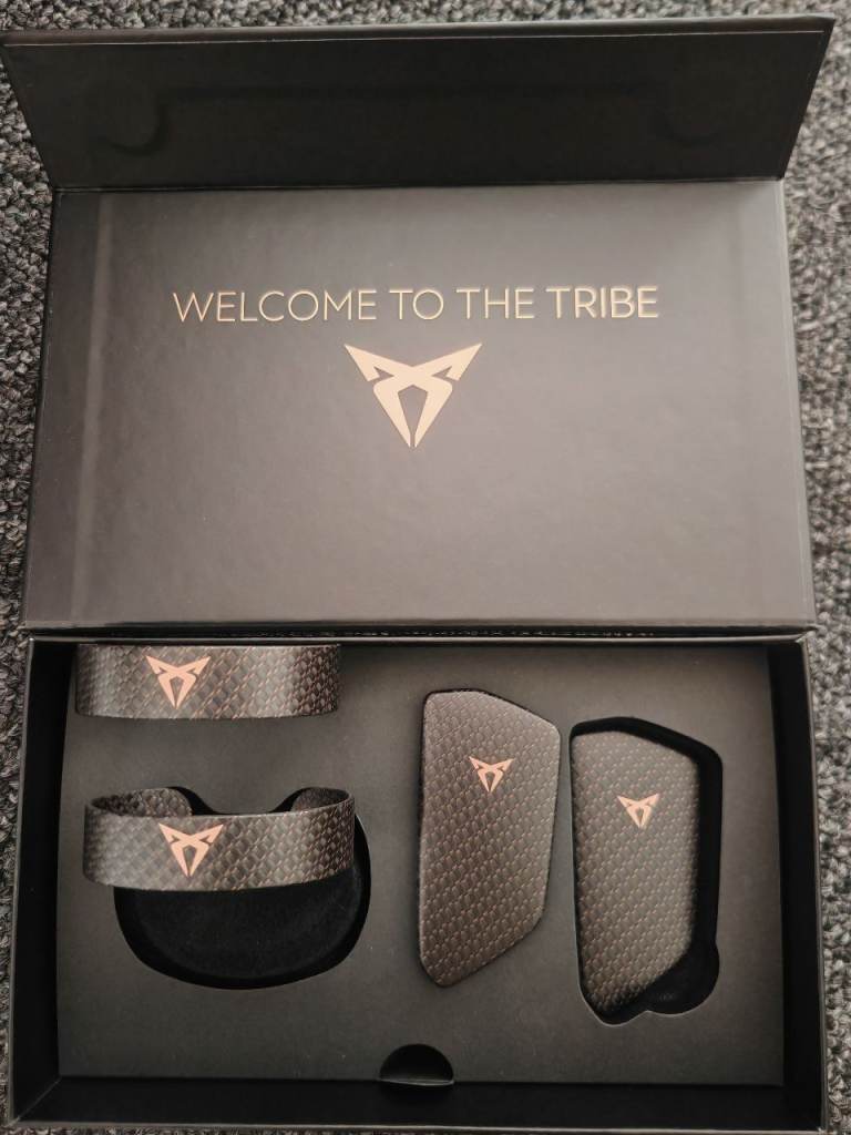 GENUINE CUPRA set carbon fiber!