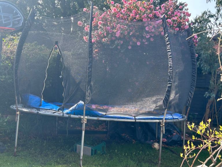 12ft trampoline 