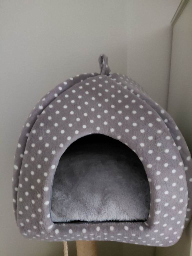 Cat igloo and smart toy