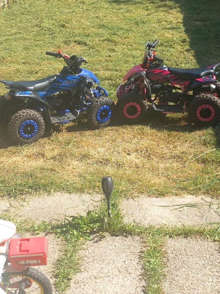 2 quad bikes for sale