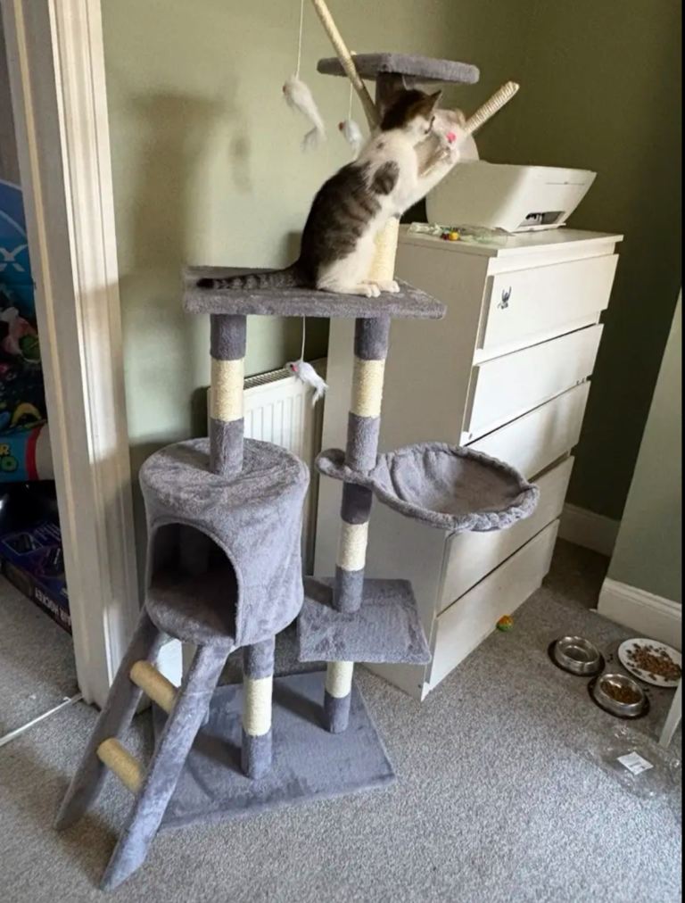 interactive Cat tree 