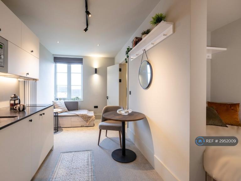 Studio flat in Augustus Road, London, SW19 (#2952009)