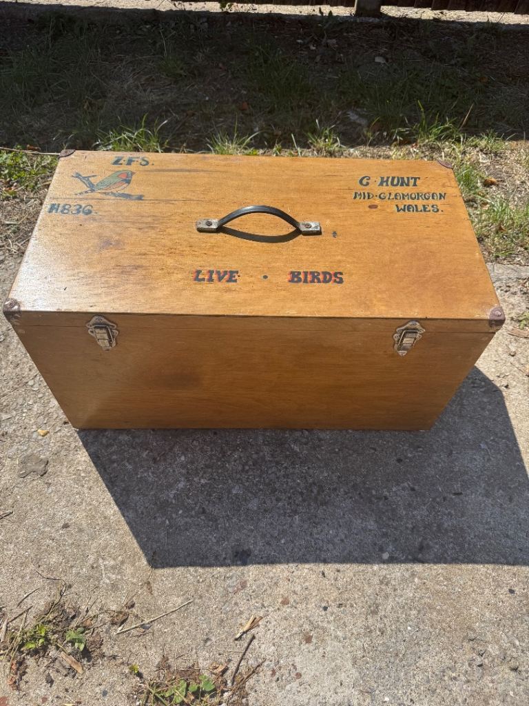 Vintage Retro Wooden Storage Box / Trunk  Live Birds Carrier with 4 Original Cages