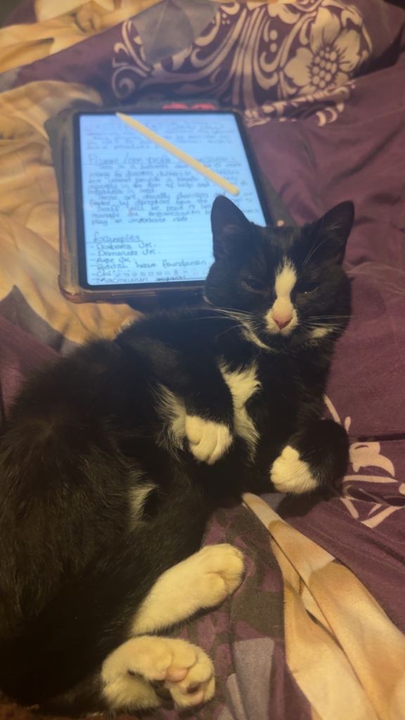 Two 6 month old cats