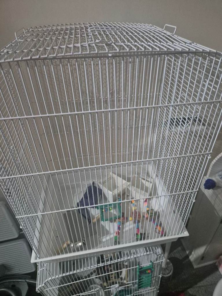 2 large bird cages with accessories 