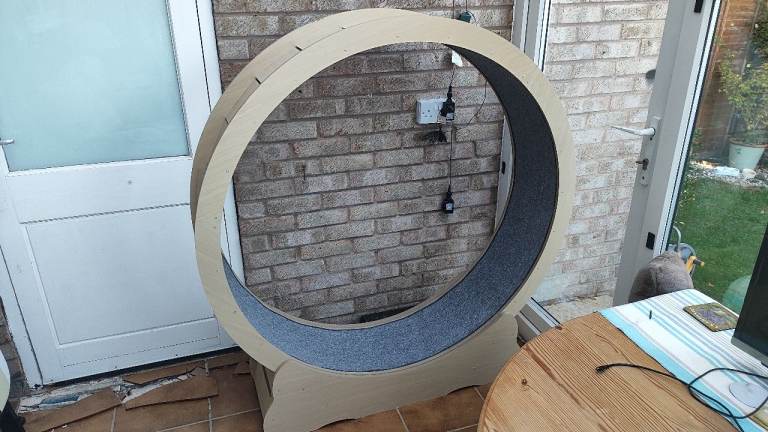 XXL cat wheel
