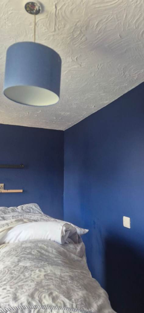 Polish Painter with 25  years experience in UK