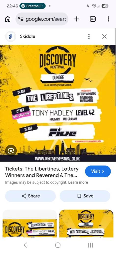 The Libertines tickets Discovery Festival Gig Dundee