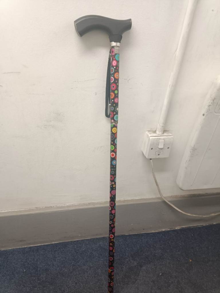 Switch walking stick 