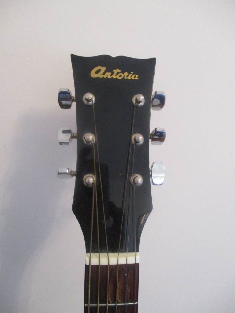 GUITAR/VOCALIST ENTERTAINER GEAR