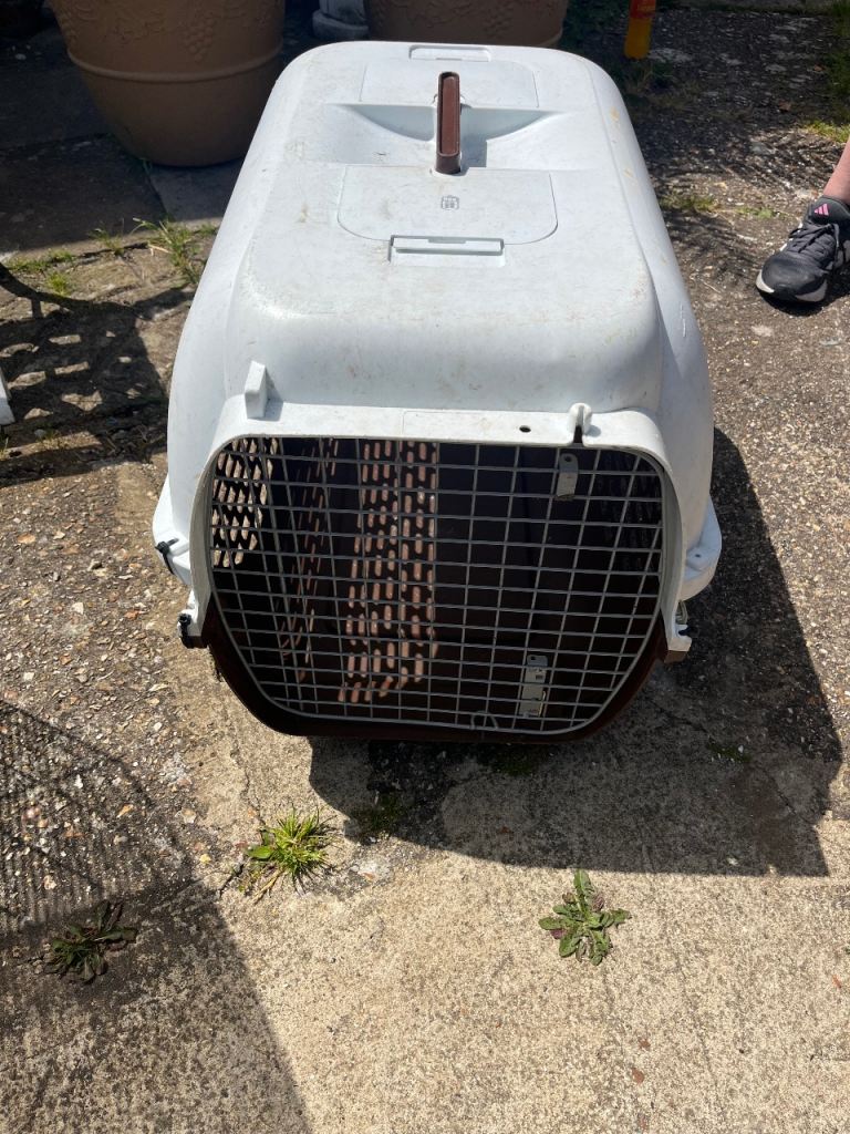 Pet carrier 