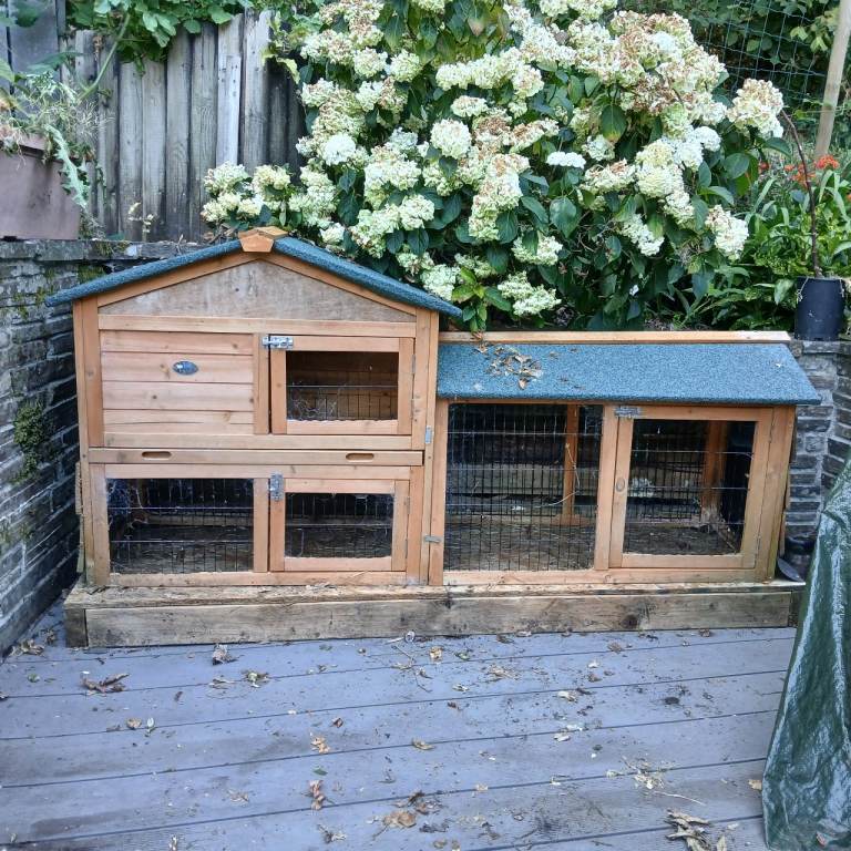 Rabbit hutch Tavistock - FREE 