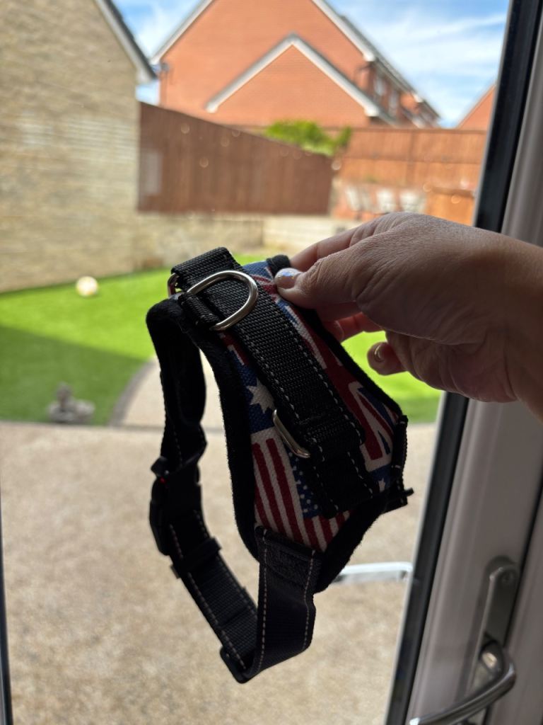 New dog harness