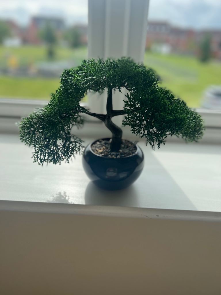 Dunelm: Artificial Bonsai Tree in Black Pot