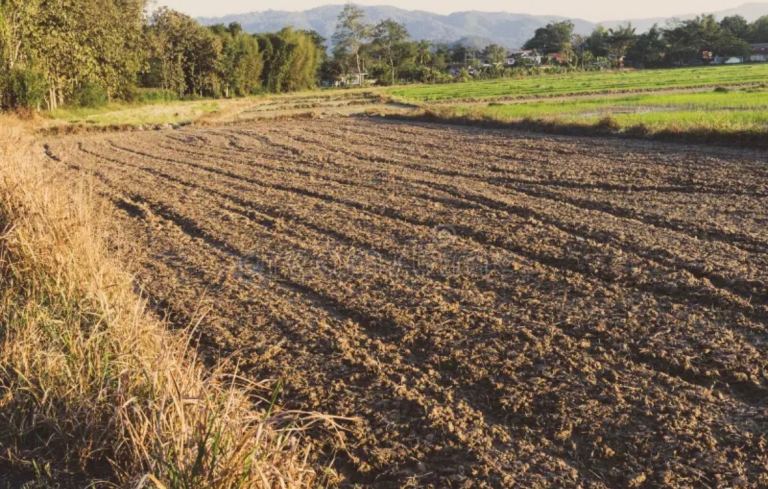 Wanted - Land to learn how to ride an enduro bike