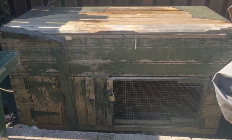 Rabbit hutch free