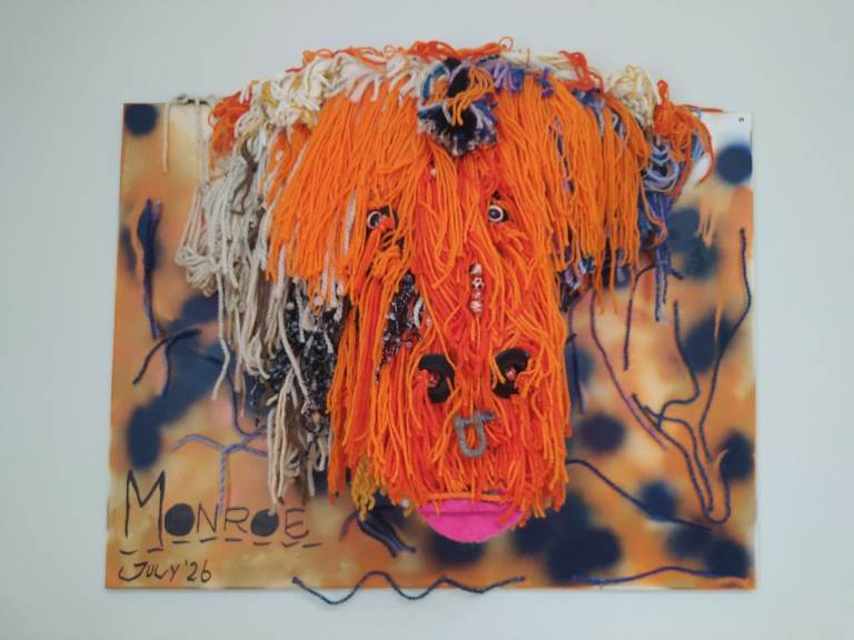 Scottish ARTIST LARGE  SHAGGY HAIRY WOOL SCULPTURE WOOLLEN COO 