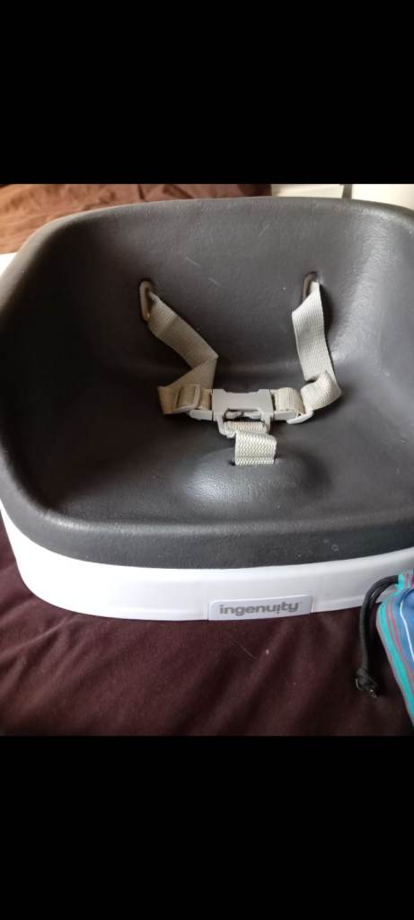 Ingenuity Booster seat, plus kid's wraparound Totseat