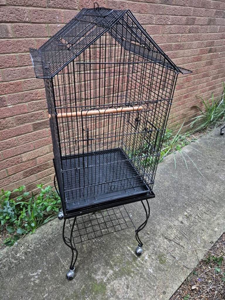 Bird cage 