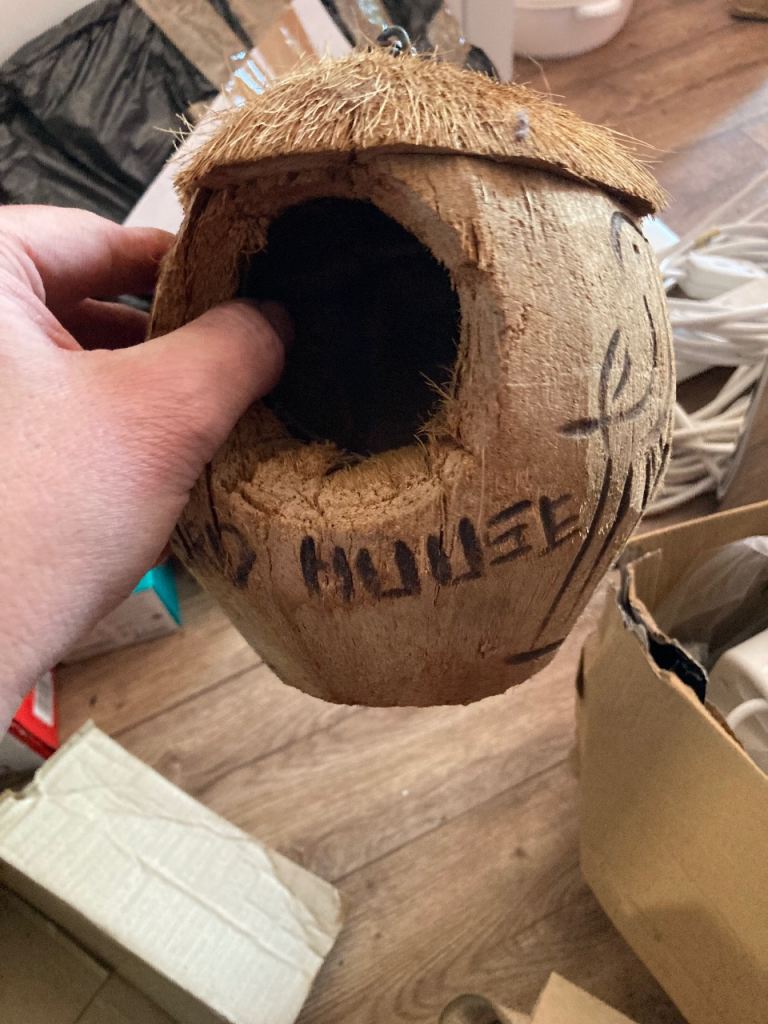 Bird house 
