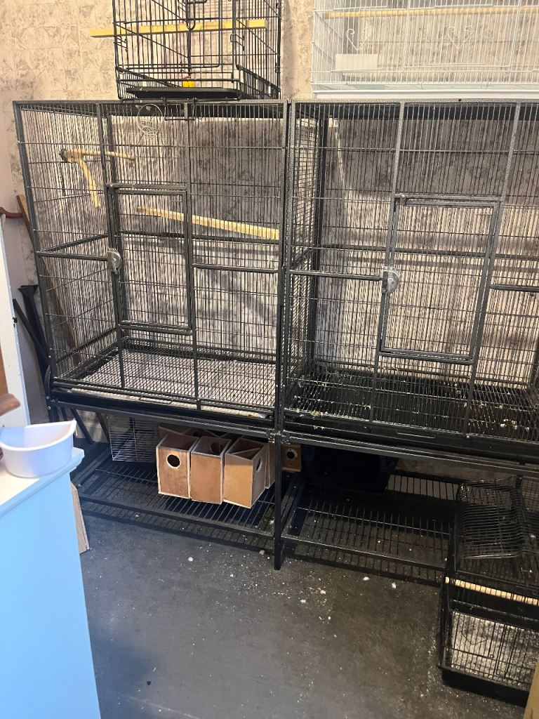 Big double flight cage 