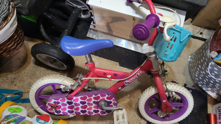 Kids Girls Bike