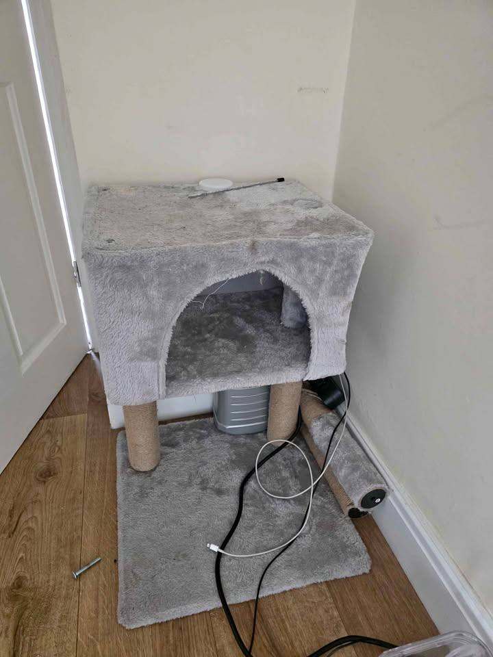 Cat house small