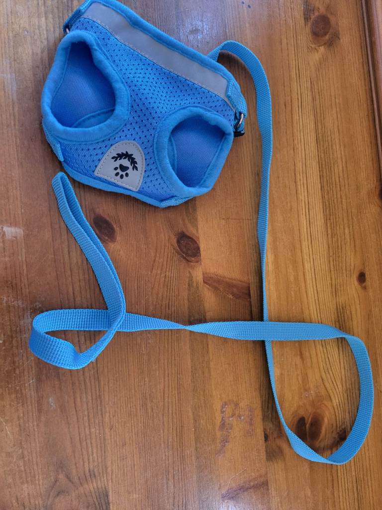 XS puppy/cat harness blue 0-2kg