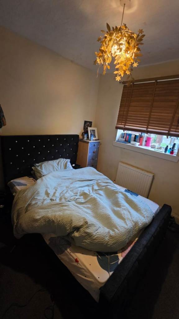 Single room available to rent