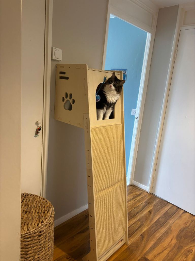 Cat scratch post stand