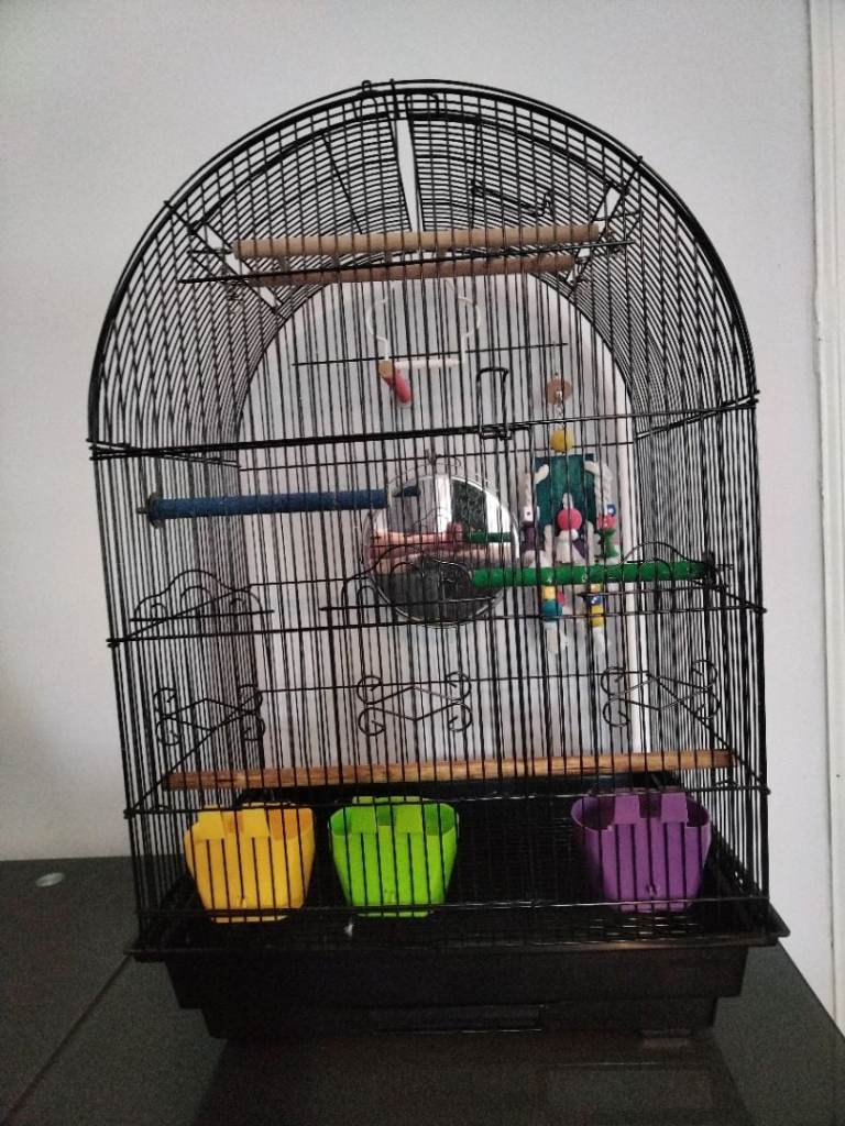 Bird cage 