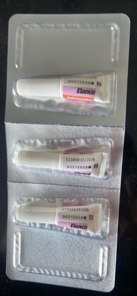 6x flee treatment for large cats