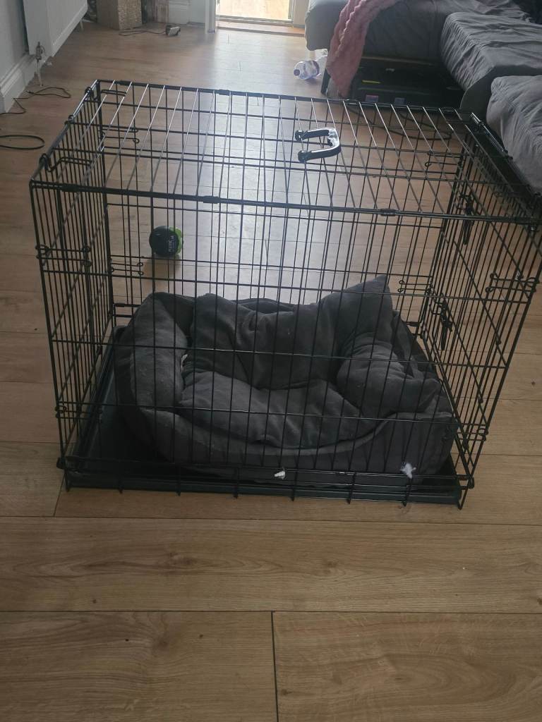 Medium size pets for home dig cage and bed