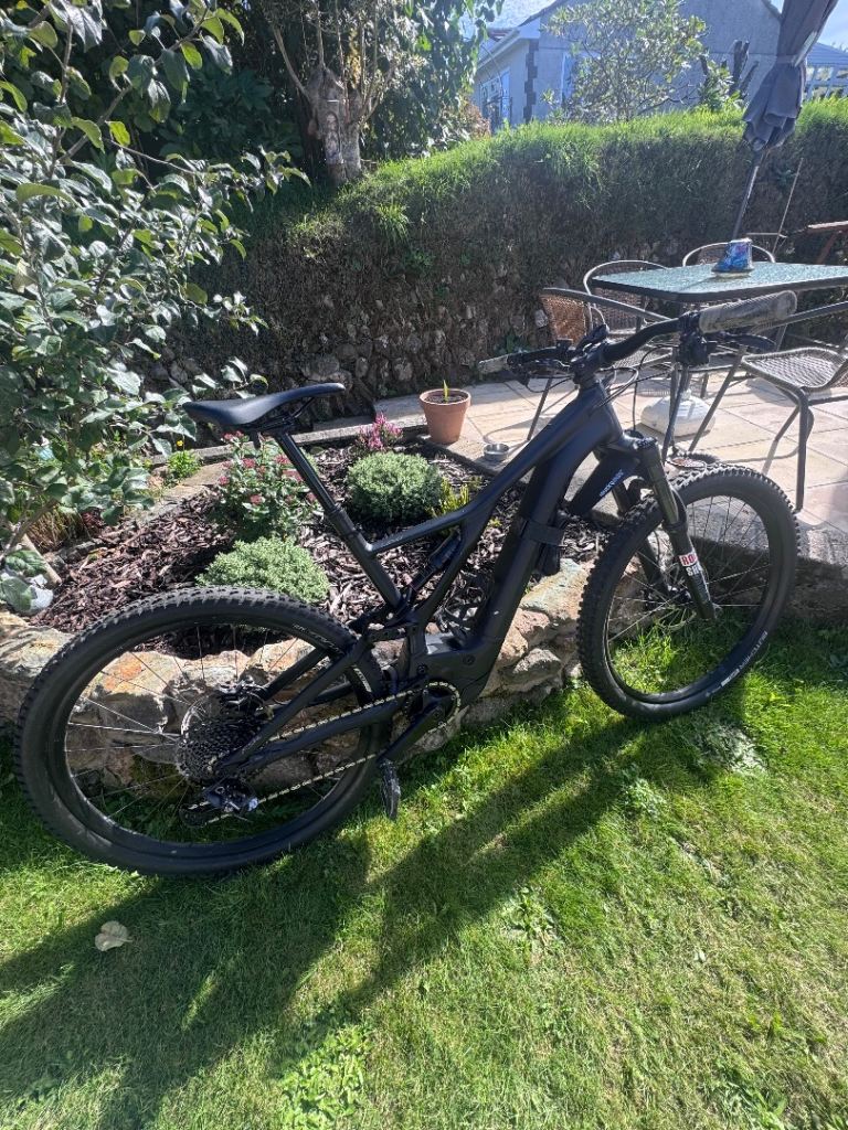 Specialized Turbo Levo Size L