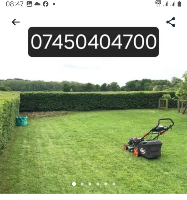 Gardening Services in London and Essex/Garden Maintenance/Garden Clearance