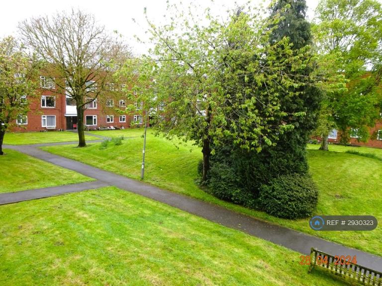 1 bedroom flat in Everard Court, Nuneaton, CV11 (1 bed) (#2930323)