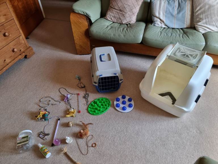 Cat litter tray extra large cat carrier and various interactive toys