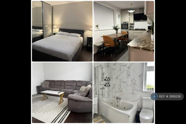 4 bedroom house in Colson Road, Loughton, IG10 (4 bed) (#2616238)