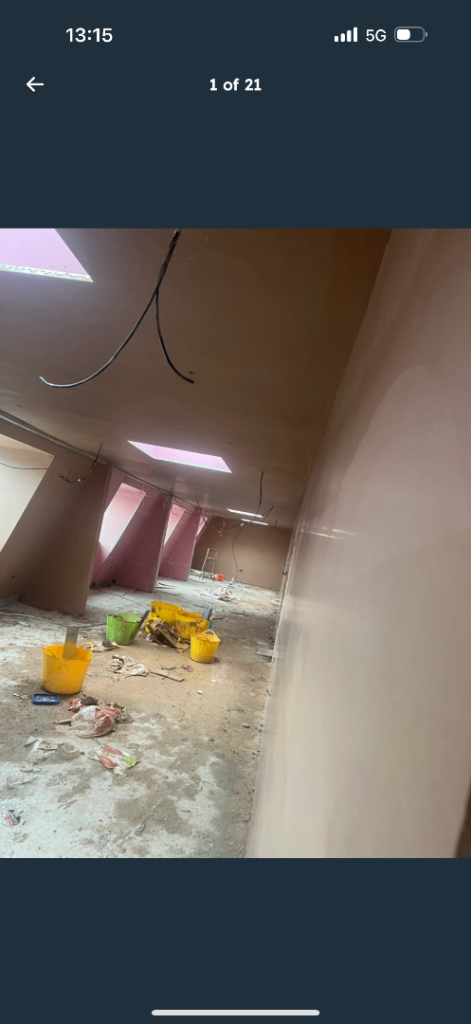 Professional plaster 