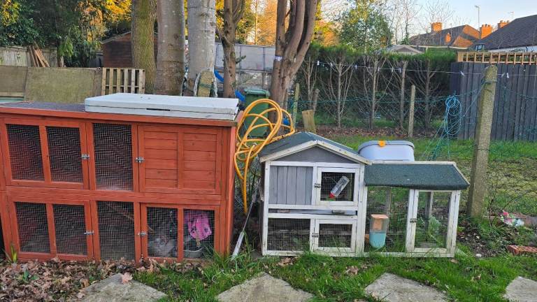 Brown rabbit hutch