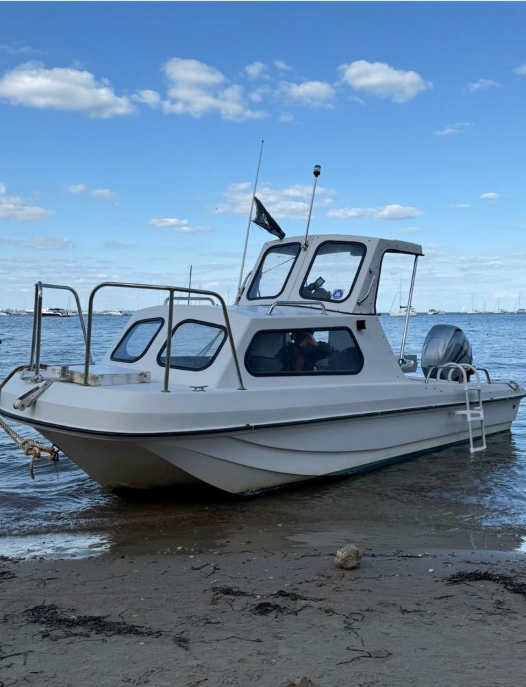 2013 Wilson Flyer 17 Fishing Boat | Mariner 60HP 4 Stroke | Trailer