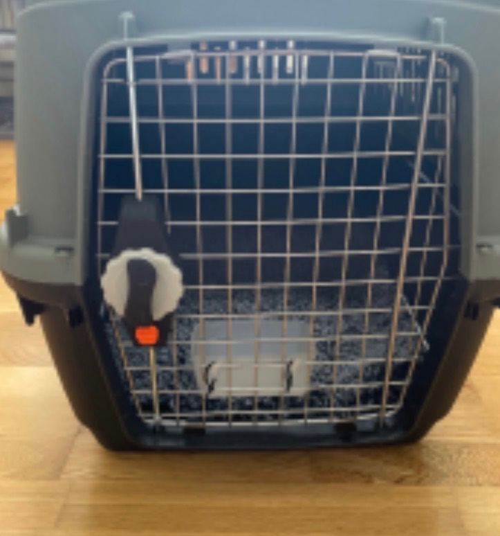 Pet carrier - airline cargo