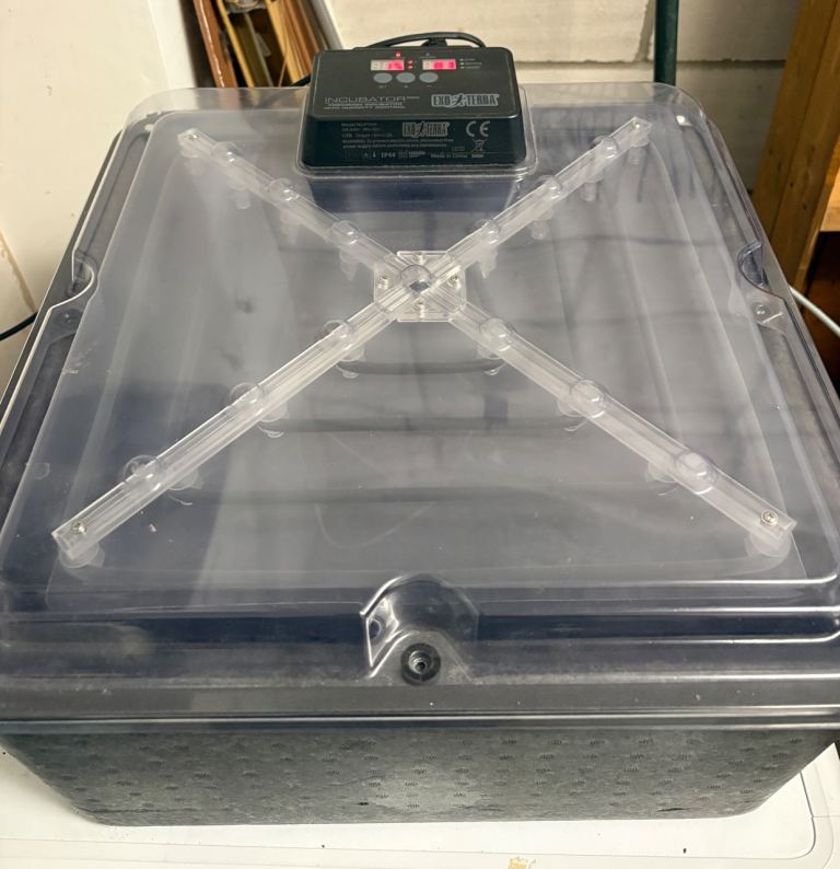 Incubator