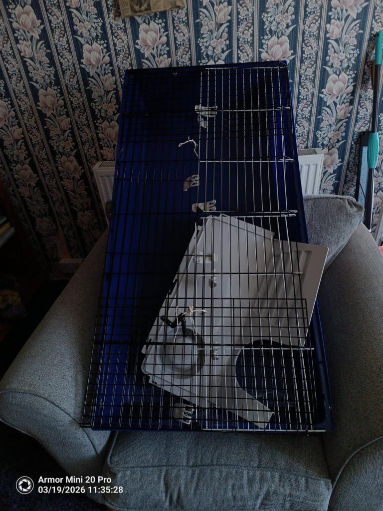 Large indoor rabbit or guinea pig cage brand new 
