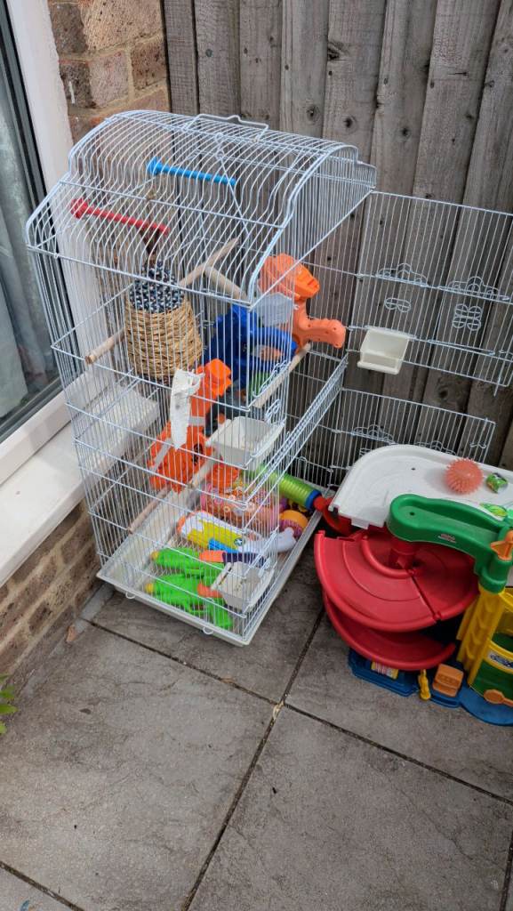 Bird cage 
