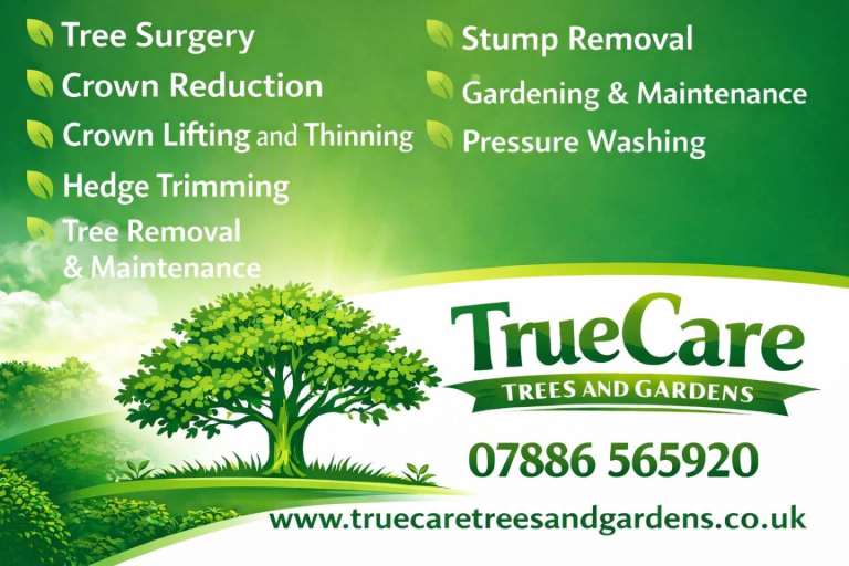 Tree Surgery & Garden Services – Truecare Trees & Gardens