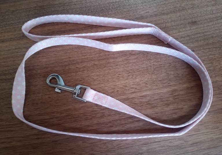 Puppy Dog Lead