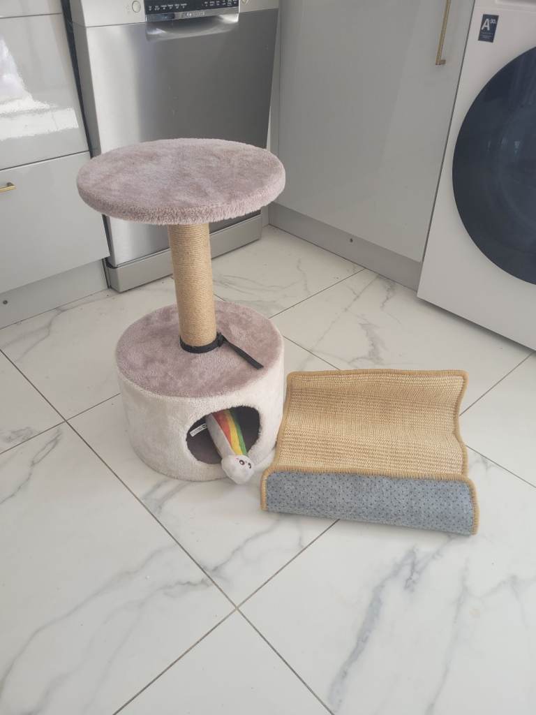 Scratching Post and scratching mat.