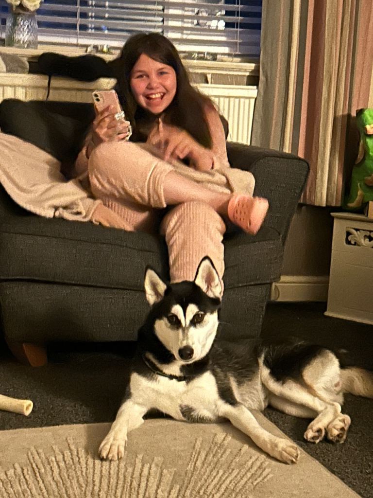 Siberian husky 9 months old 